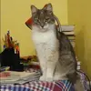 Отзыв от Валентина Седова